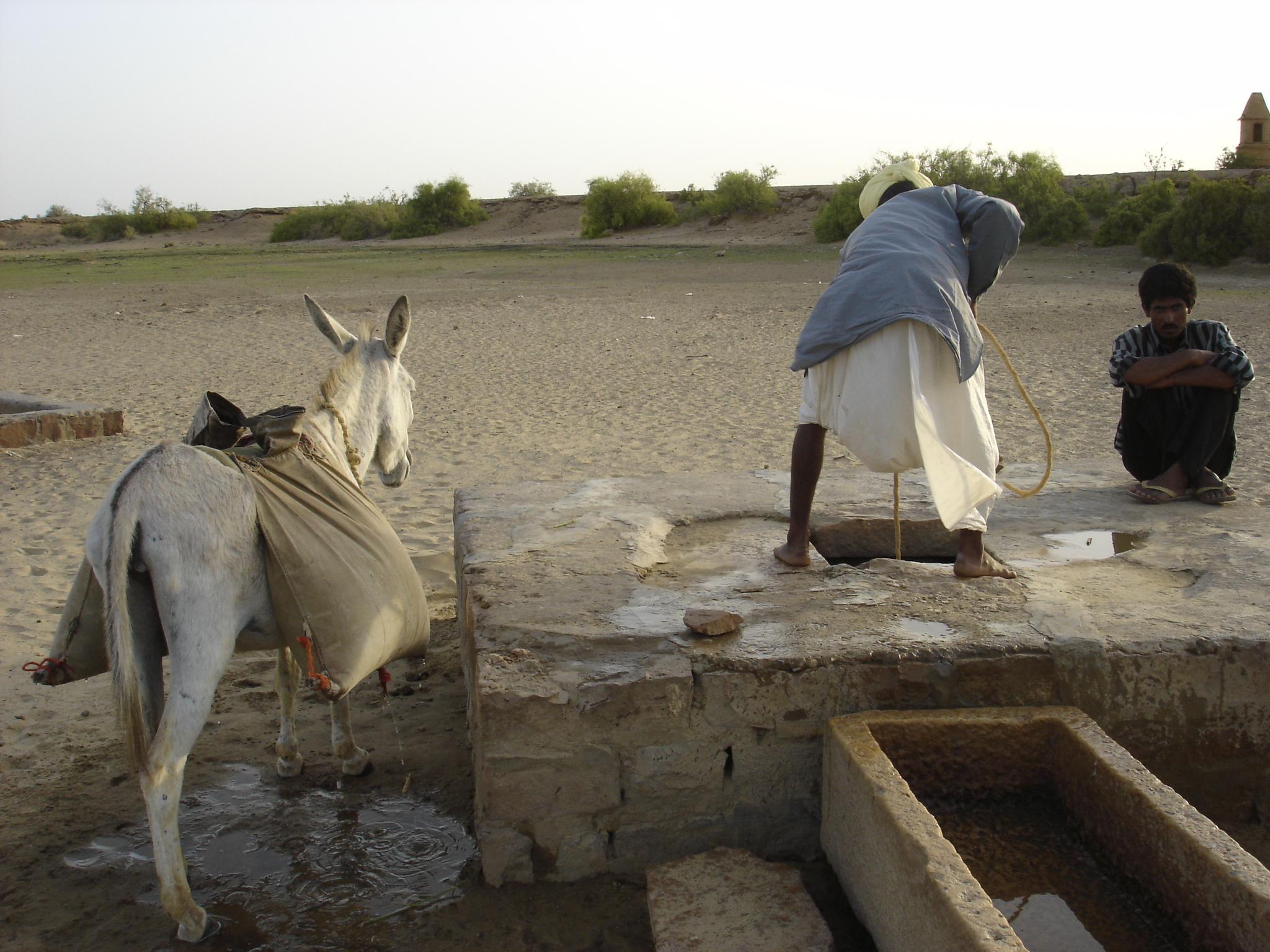 Tribal governance project activities 1